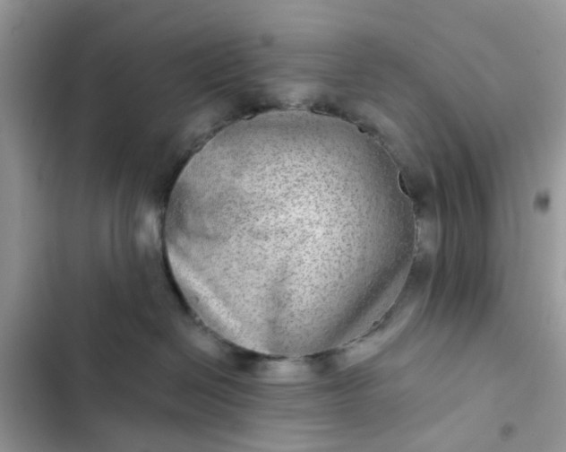 X0000102360286200808151820