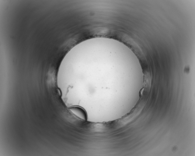 X0000102360287200808151820