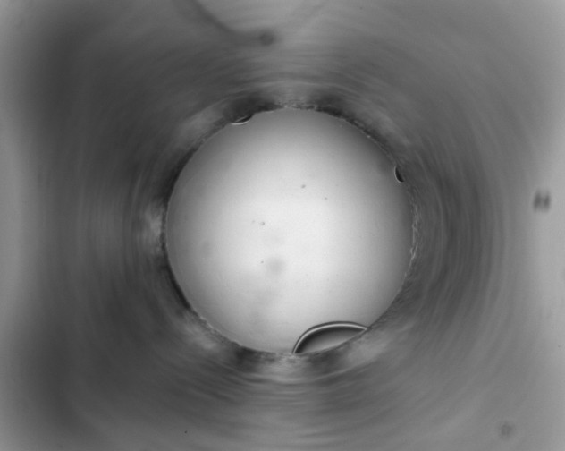 X0000102360288200808151820