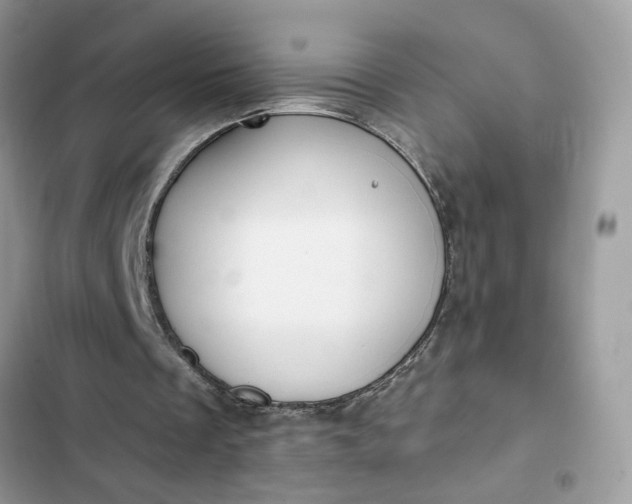 X0000102360289200808151819