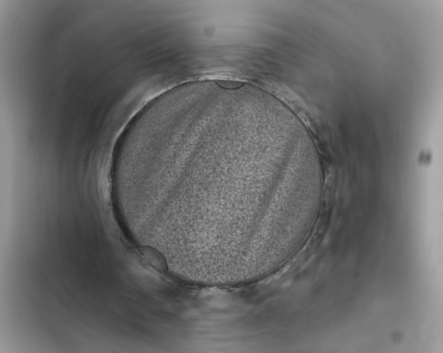 X0000102360290200808151819