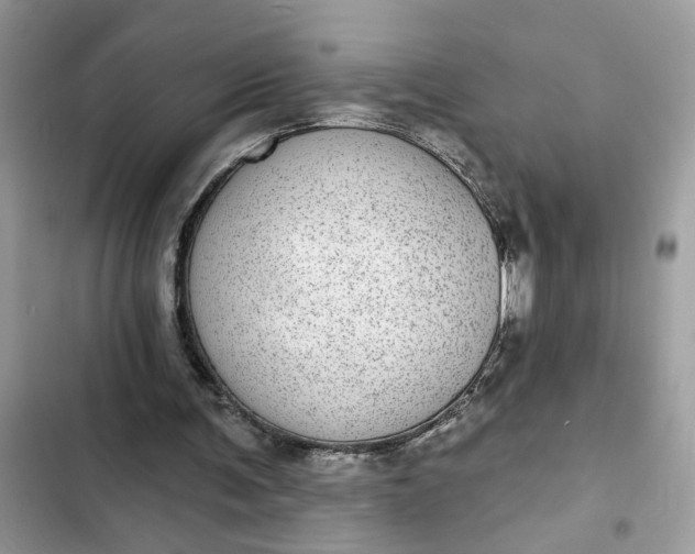 X0000102360291200808151819