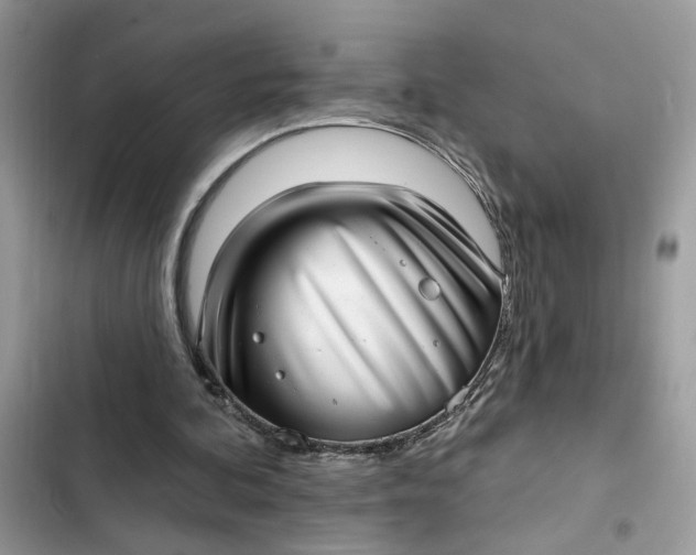 X0000102360292200808151819