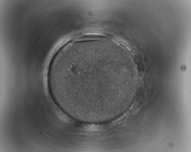 X0000102360293200808151819