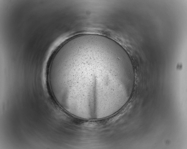 X0000102360294200808151819