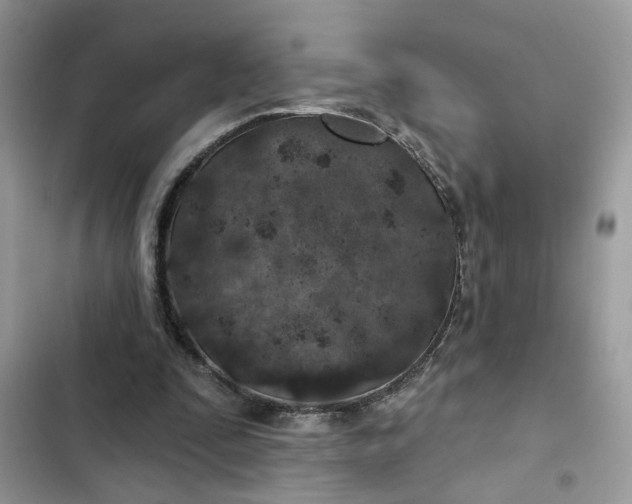 X0000102360295200808151819