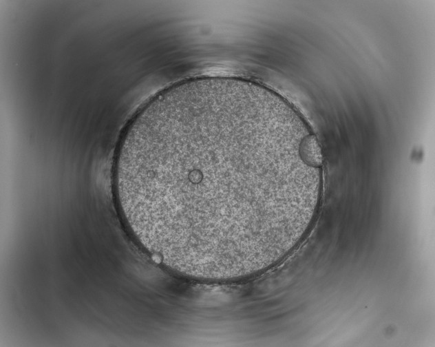 X0000102360297200808151819