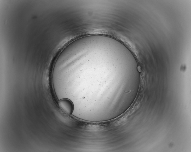 X0000102360298200808151819