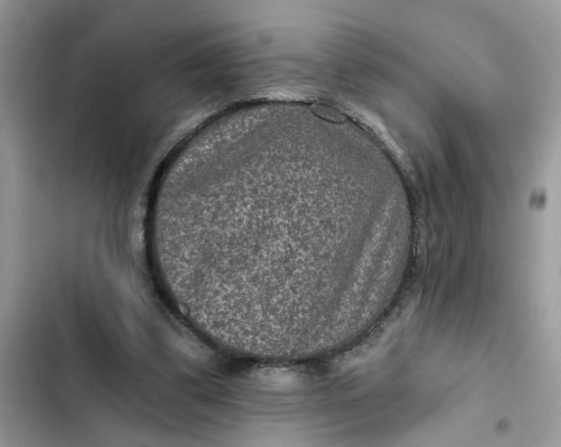 X0000102360299200808151819