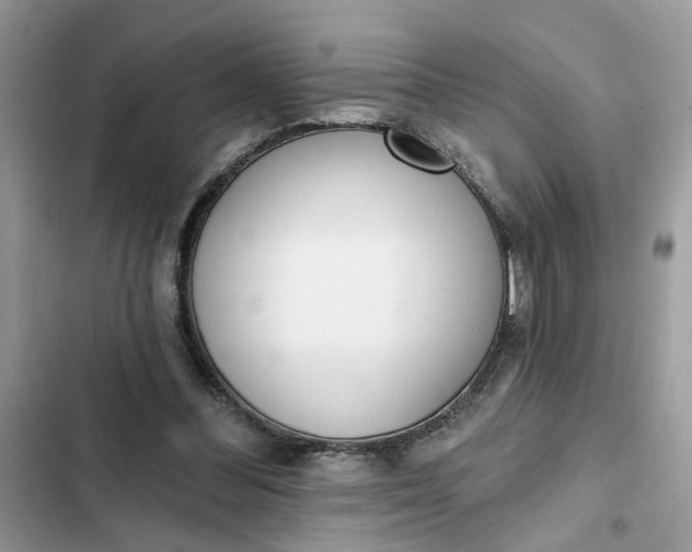 X0000102360300200808151819