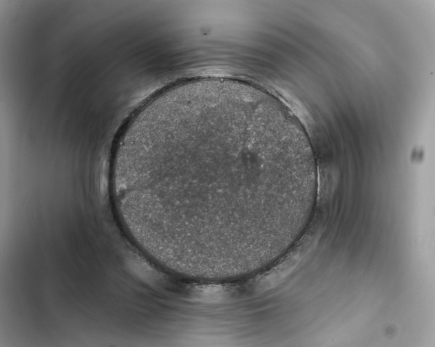 X0000102360301200808151819