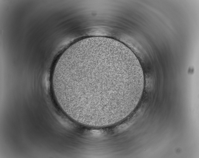 X0000102360302200808151819