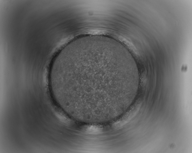 X0000102360303200808151819