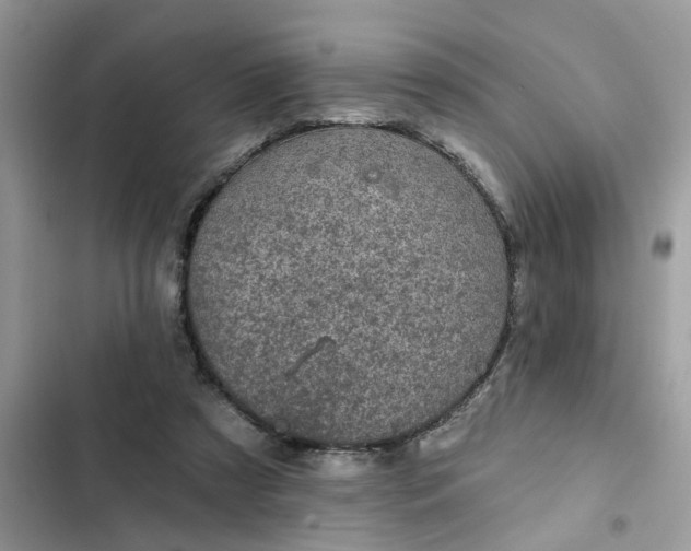 X0000102360305200808151819