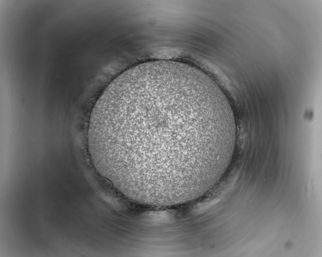 X0000102360307200808151819