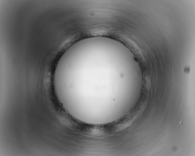 X0000102360308200808151818