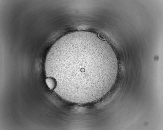 X0000102360311200808151818