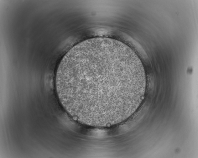 X0000102360313200808151818