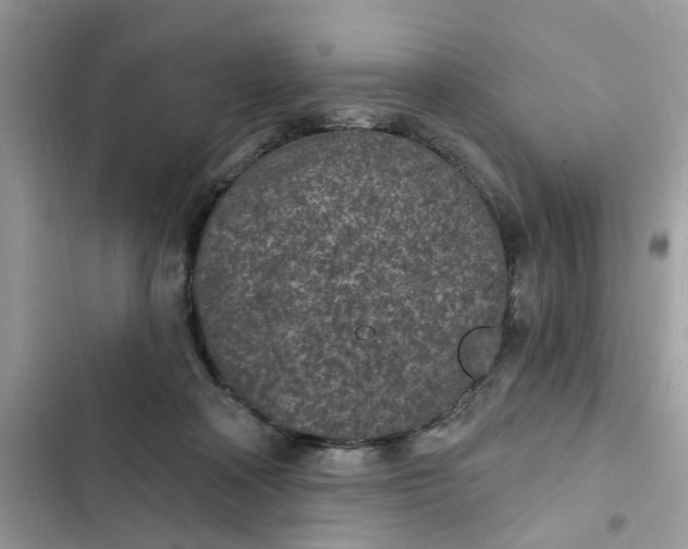 X0000102360314200808151818