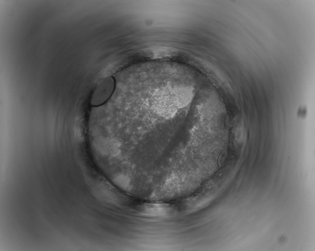 X0000102360316200808151818