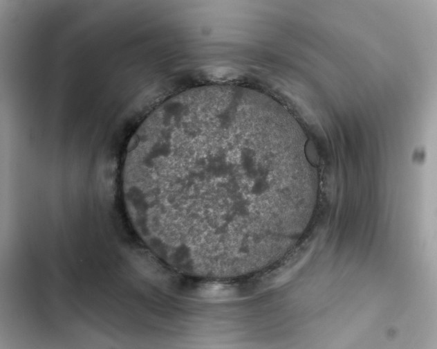 X0000102360319200808151818