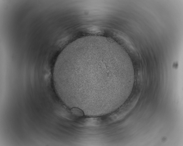 X0000102360320200808151818