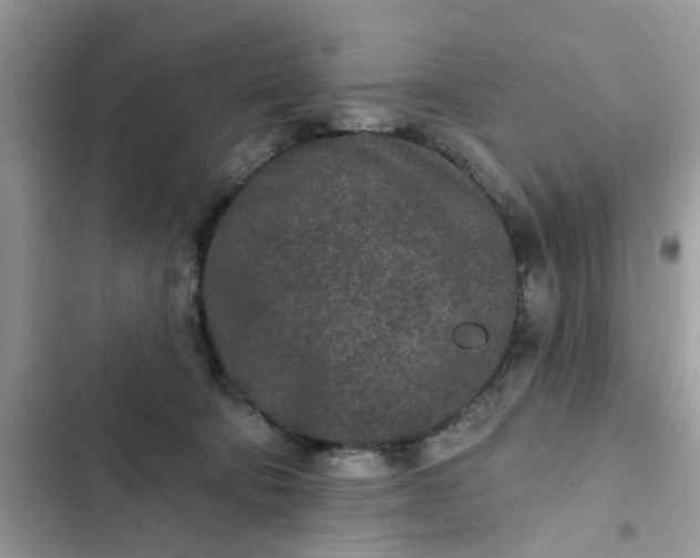 X0000102360322200808151818