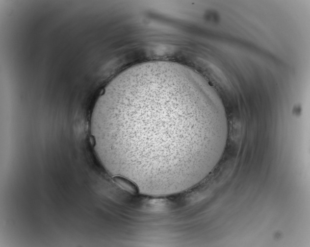 X0000102360324200808151818