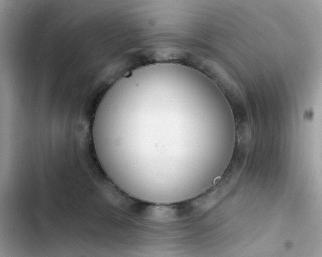 X0000102360327200808151818