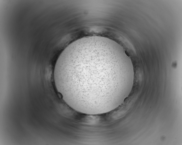 X0000102360328200808151818