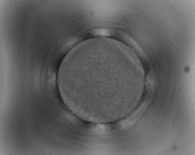 X0000102360330200808151818