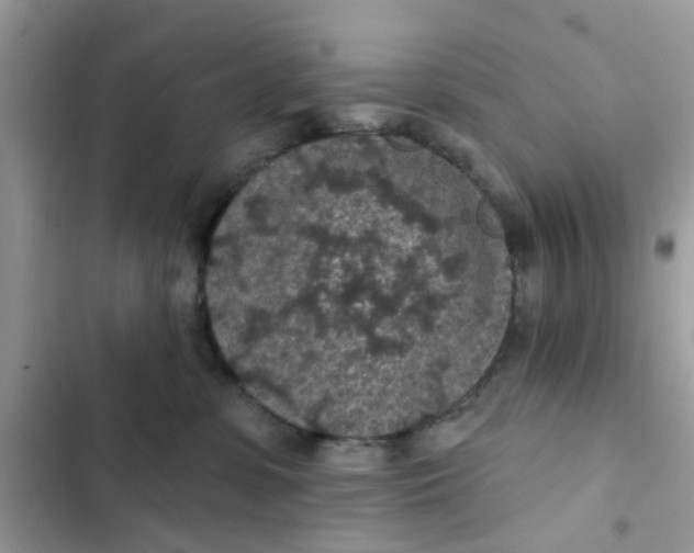 X0000102360331200808151818