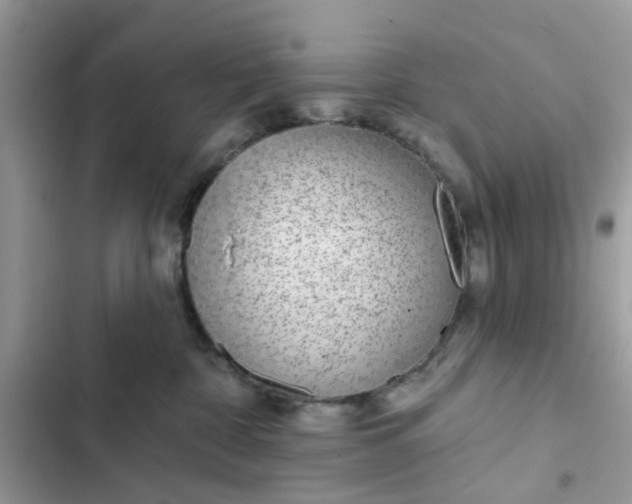 X0000102360332200808151818