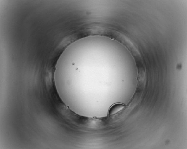 X0000102360333200808151818