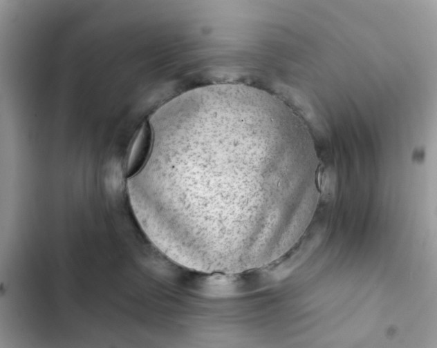 X0000102360335200808151818