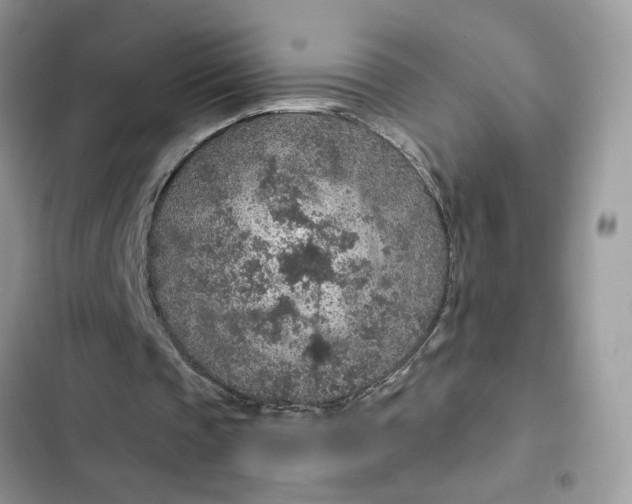 X0000102360337200808151817