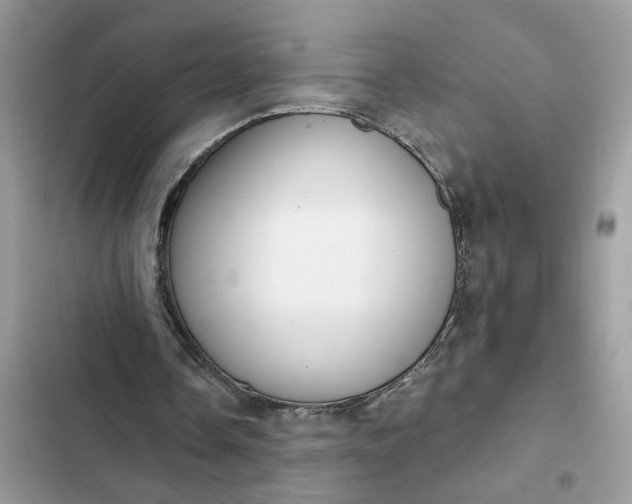 X0000102360338200808151817