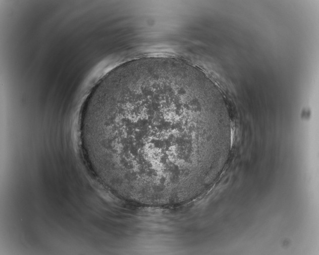 X0000102360339200808151817