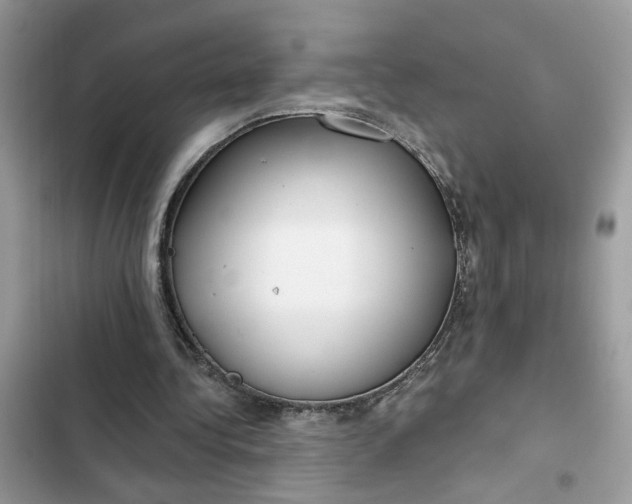 X0000102360340200808151817