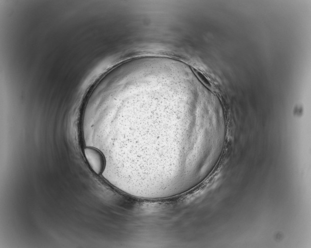 X0000102360341200808151818