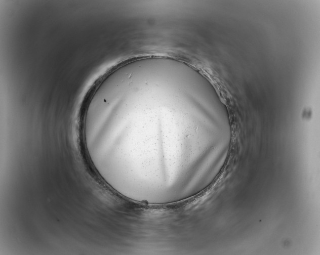 X0000102360342200808151818