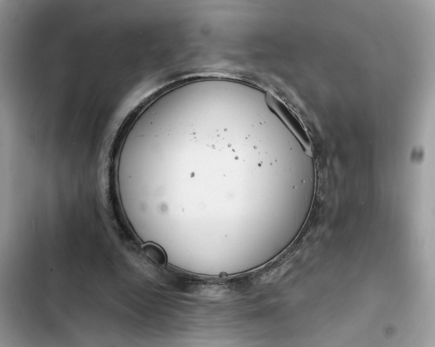 X0000102360344200808151818