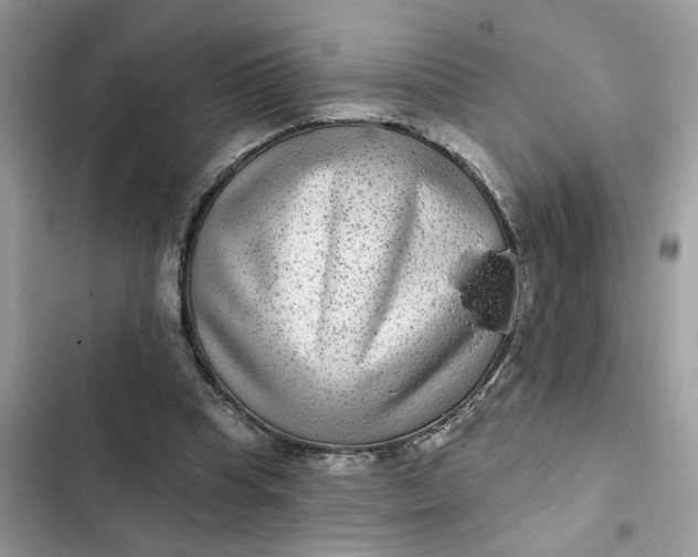 X0000102360345200808151818