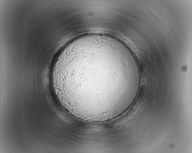 X0000102360347200808151818