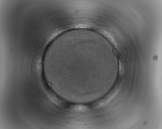 X0000102360348200808151818