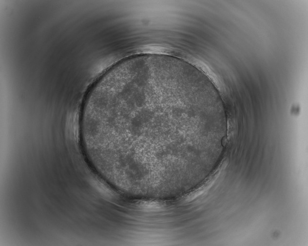 X0000102360349200808151818