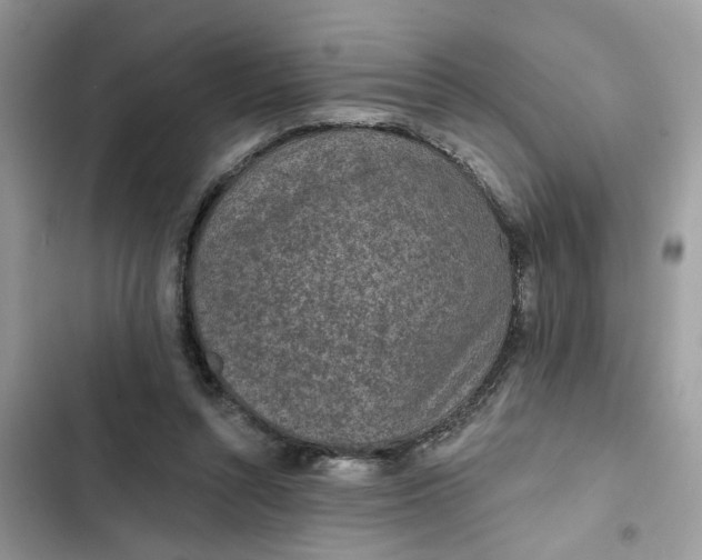 X0000102360352200808151818