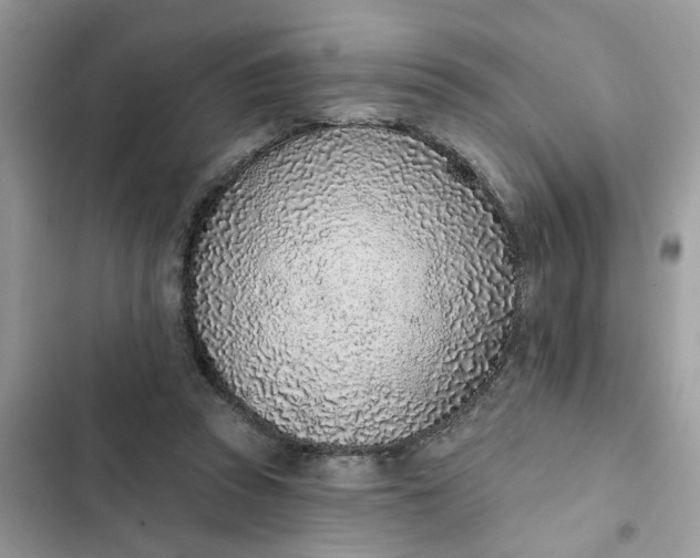 X0000102360353200808151818