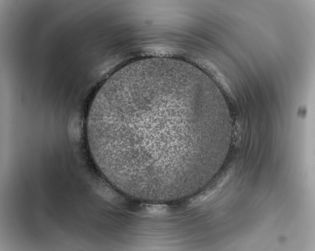 X0000102360355200808151818