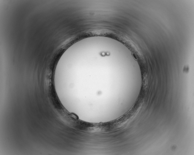 X0000102360356200808151818